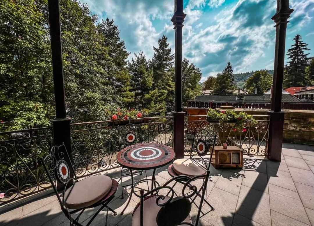 Castelul Stirbey Hotel Sinaia Exterior foto